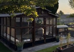 Quiet tending of chickens and seasonal care